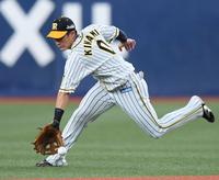 　４回、牧の打球を好捕する木浪（撮影・田中太一）