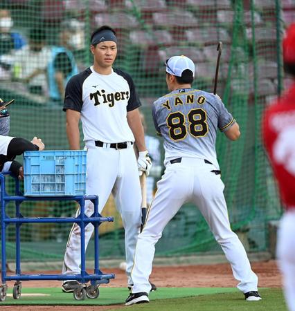 阪神・佐藤輝明（左）は阪神・矢野燿大監督からアドバイスを受ける＝マツダスタジアム（撮影・山口登）