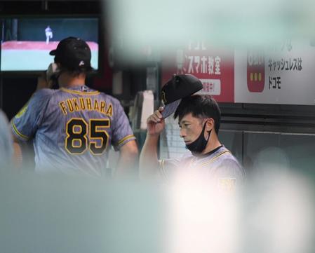 ６回、１番から始まる攻撃も無失点に終わり、ベンチ奥でひと息入れる阪神・矢野燿大監督＝マツダスタジアム（撮影・田中太一）