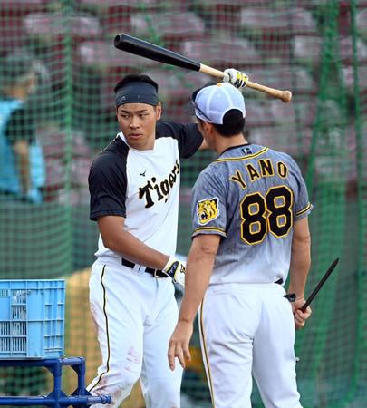 阪神・佐藤輝明（左）は阪神・矢野燿大監督からアドバイスを受ける＝マツダスタジアム（撮影・山口登）