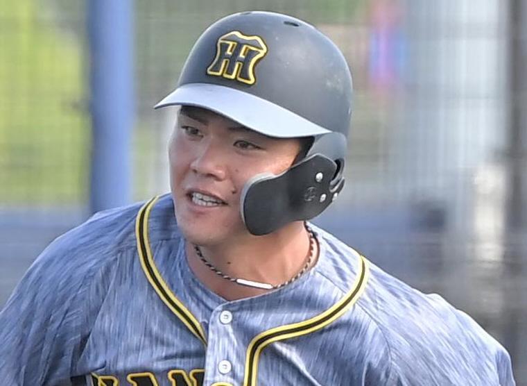 阪神・小野寺暖