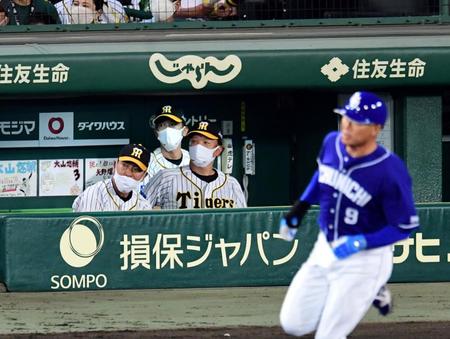 　７回、福留が適時二塁打を放ち、矢野監督（左から２人目）は打球を目で追う（撮影・山口登）