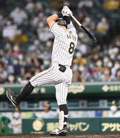 　７回、代打で空振り三振に倒れ悔しがる佐藤輝（撮影・飯室逸平）