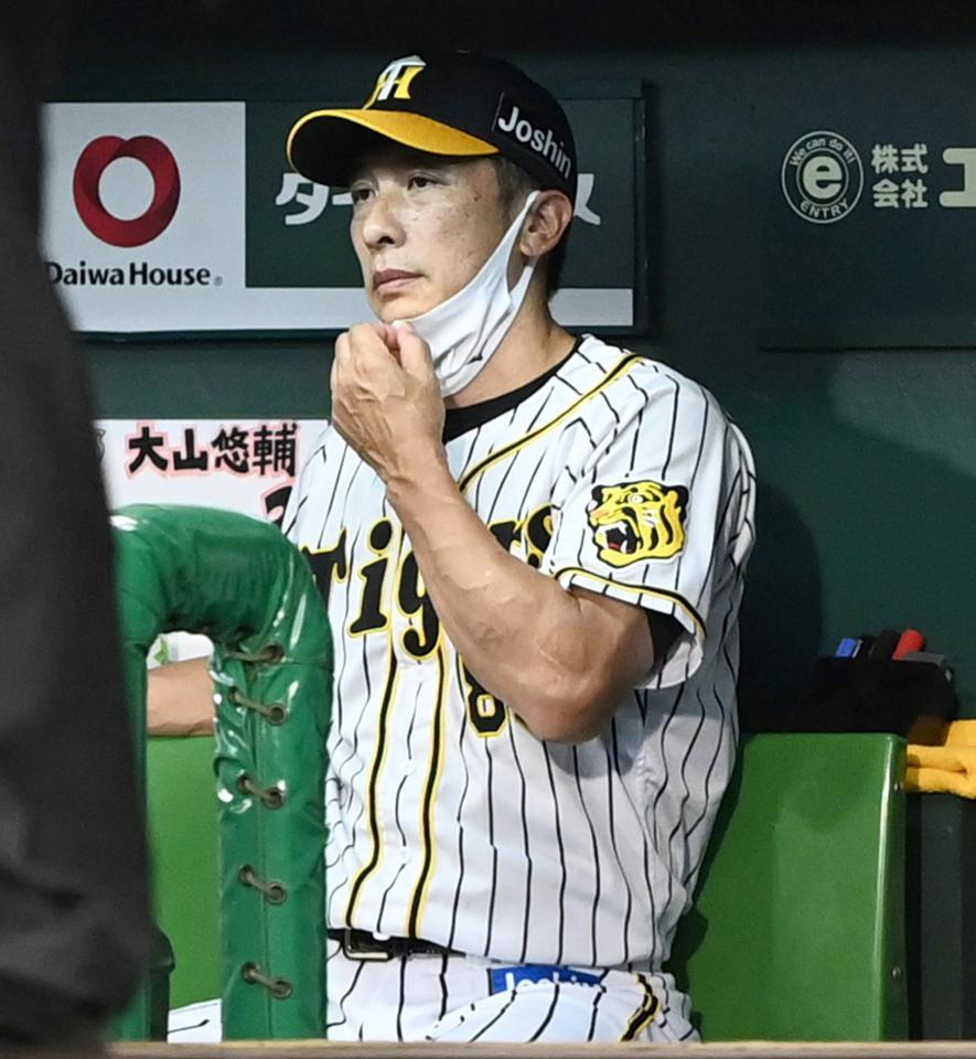 　ベンチから戦況を見守る矢野監督（撮影・飯室逸平）