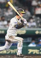 　６回、右前打を放つ近本（撮影・北村雅宏）