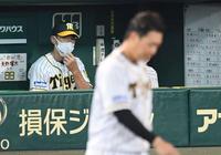 　４回、併殺に倒れた大山（手前）を見る矢野監督（撮影・田中太一）