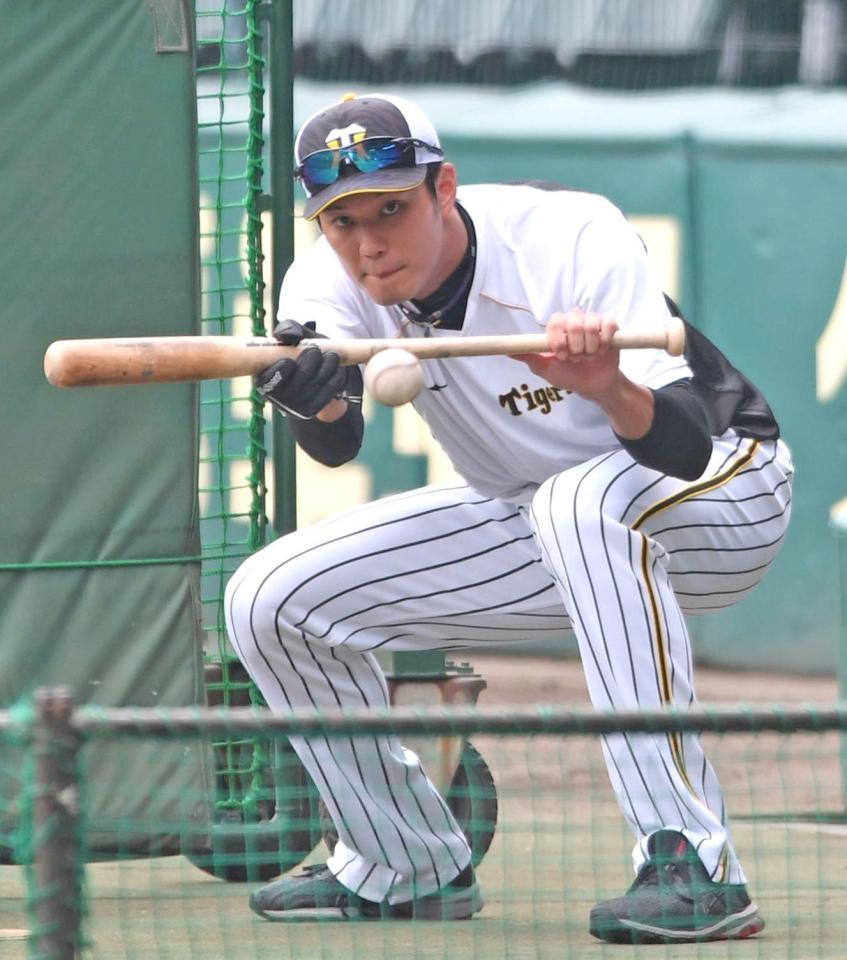 　バント練習をする藤浪（撮影・北村雅宏）