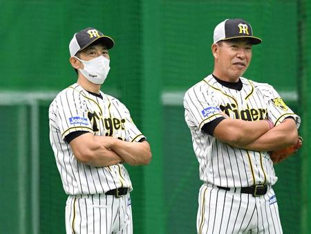 　雨天のため、阪神対中日戦は中止に