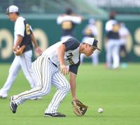 　丁寧にノックの打球を捕球する佐藤輝