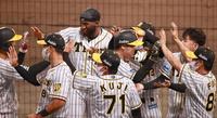 ７回、勝ち越しに成功した阪神ベンチは歓喜に包まれる（撮影・坂部計介）