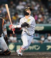 ７回、走者一掃の三塁打を放つ中野＝甲子園（撮影・田中太一）