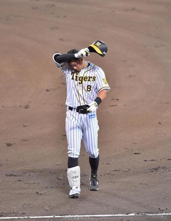 　２回、右飛に倒れた阪神・佐藤輝＝甲子園球場（撮影・吉澤敬太）