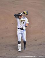 　２回、右飛に倒れた阪神・佐藤輝＝甲子園球場（撮影・吉澤敬太）