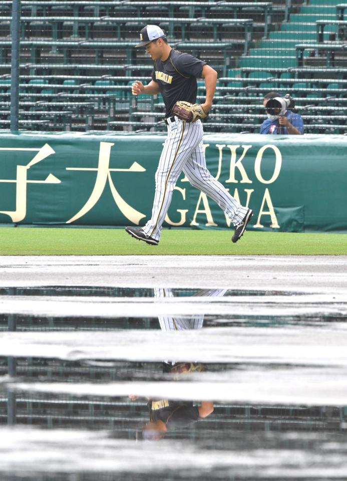 水たまりを横目に外野ノックへ向かう阪神・佐藤輝＝甲子園球場（撮影・吉澤敬太）