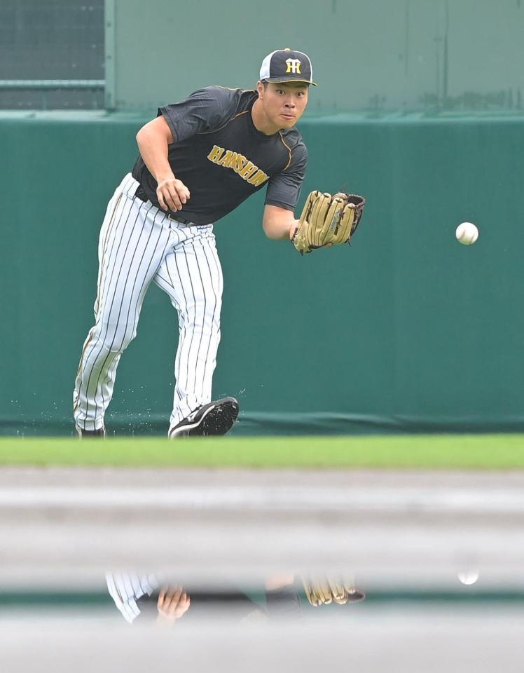 試合前、雨が残るグラウンドで外野ノックを受ける阪神・佐藤輝＝甲子園（撮影・高部洋祐）