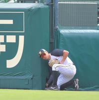 　フェンスの隙間に入ったボールを取り出す佐藤輝（撮影・吉澤敬太）