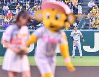 　始球式を終えた高城れに（手前）を見つめる佐藤輝