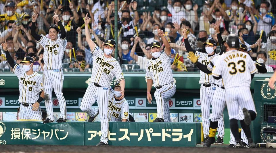 　７回、糸井の同点打にわく、阪神ナイン