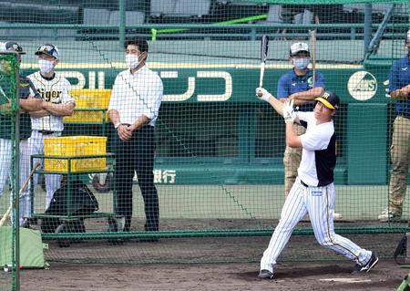 打撃練習する佐藤輝（左から３人目は稲葉篤紀監督）（撮影・山口登）
