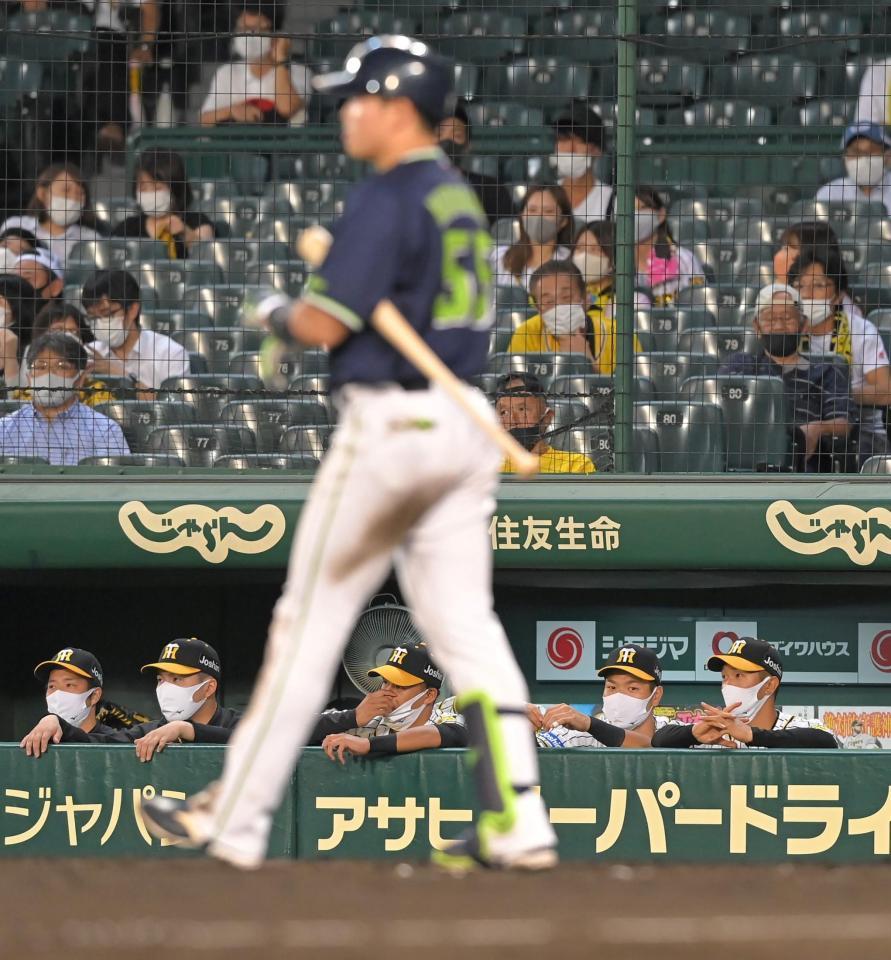 ９回、四球で一塁に向かう村上（手前）とベンチの佐藤輝（右から２人目）＝撮影・高部洋祐