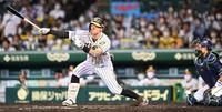 ６回、空振り三振に倒れる佐藤輝（捕手・中村）＝撮影・飯室逸平