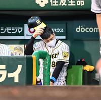 ベンチで頭を悩ます矢野監督（撮影・飯室逸平）