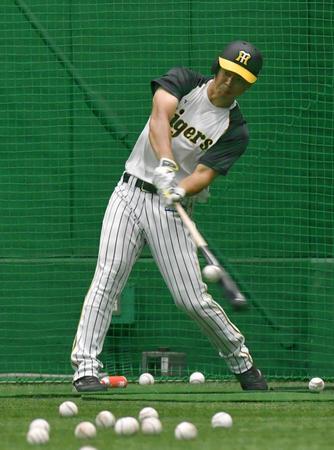 　打撃練習をする佐藤輝（撮影・佐々木彰尚）