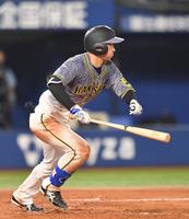 　５回、中前打を放つ阪神・近本（撮影・西岡正）