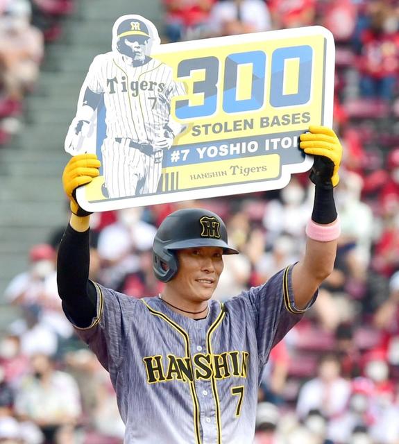阪神・糸井が300盗塁達成 史上31人目/阪神タイガース/デイリー