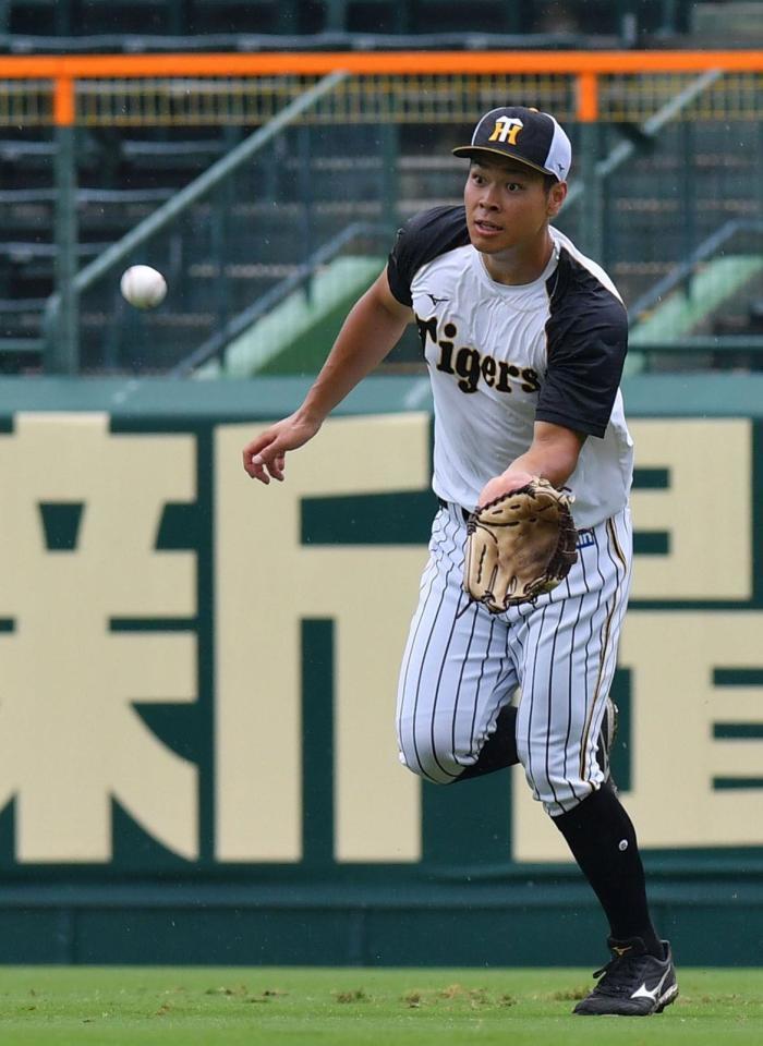 　ノックを受ける佐藤輝（撮影・佐々木彰尚）