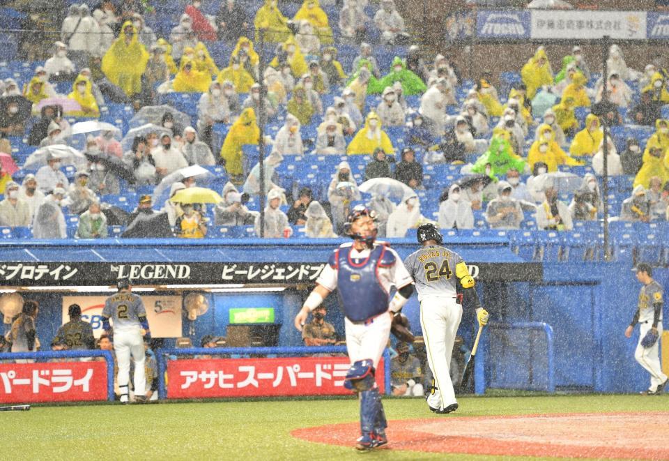 　４回、打者・ロハスの時に激しい雨で試合が中断する（撮影・西岡正）