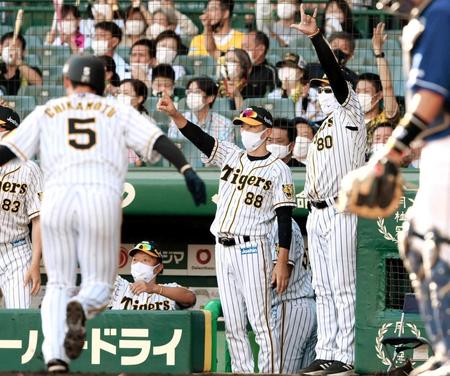 　６回、糸原が先制打を放ち、ベンチから手をあげる矢野監督（撮影・田中太一）