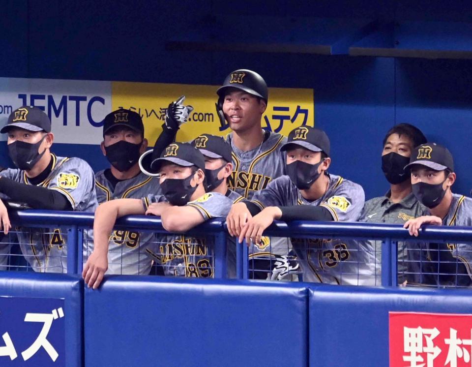 ４回阪神、右翼ポール際に打球を放った阪神・佐藤輝明はベンチでリプレイ検証を待つ＝バンテリンドームナゴヤ（撮影・山口登）