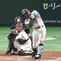 　５回１９号２ランを放つ阪神・マルテ＝東京ドーム（撮影・飯室逸平）