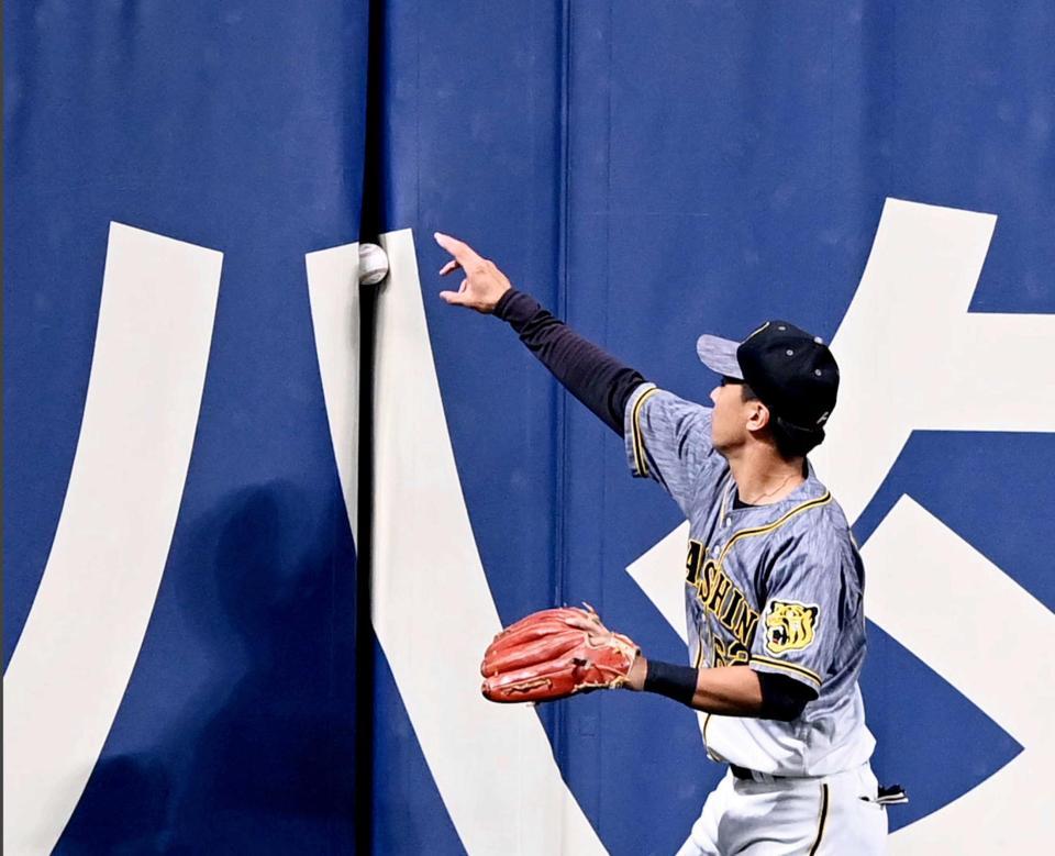 　９回、外野フェンスに挟まった福留の打球を捕りにいく植田（撮影・飯室逸平）