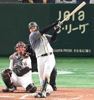 　１６年ぶりの優勝へ「４番・大山」がチームをけん引する