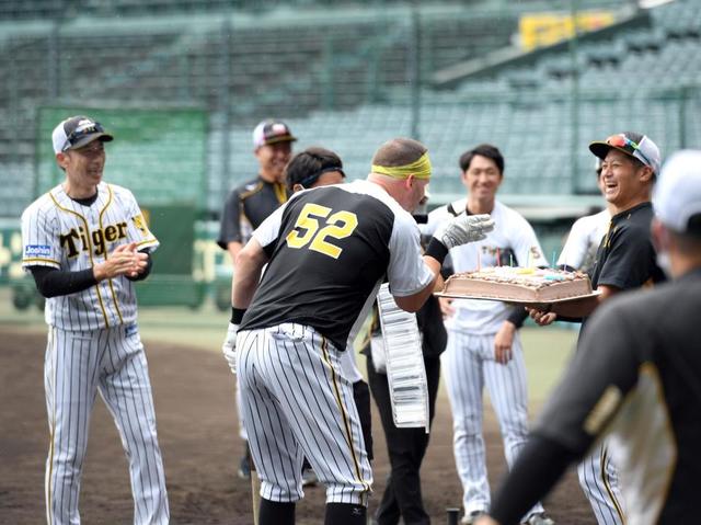 阪神サンズにサプライズ ３４歳誕生日に坂本からケーキのプレゼント 阪神タイガース デイリースポーツ Online