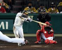 ５回阪神１死三塁、阪神・近本光司は中前に適時打を放つ（捕手　広島・坂倉将吾）＝甲子園（撮影・山口登）