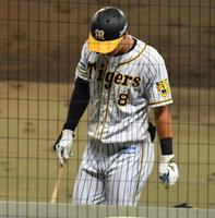 　５回、左飛に倒れた代打・佐藤輝（撮影・佐々木彰尚）