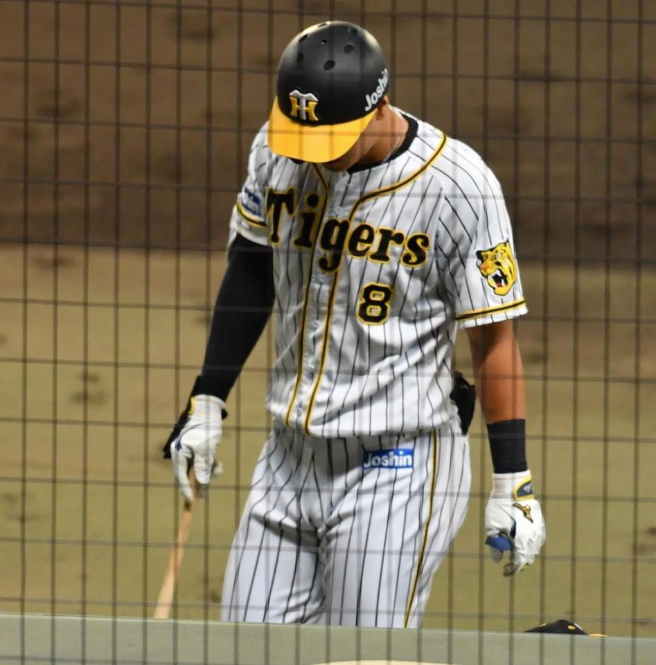 　５回、左飛に倒れた代打・佐藤輝（撮影・佐々木彰尚）