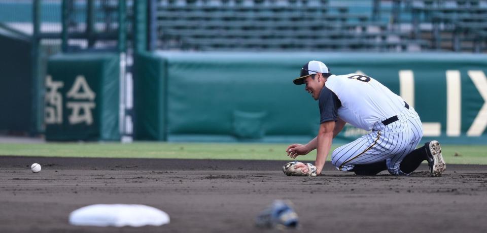 　ショートでノックを受け、倒れる佐藤輝（撮影・佐々木彰尚）