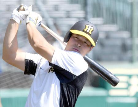 素振りをする阪神・佐藤輝（撮影・田中太一）