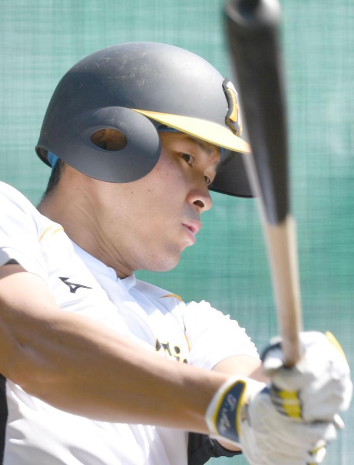 　バットを振る阪神・佐藤輝（撮影・佐々木彰尚）