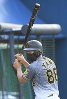 　ヘルメットをかぶり戦闘モード？の矢野監督（撮影・金田祐二）