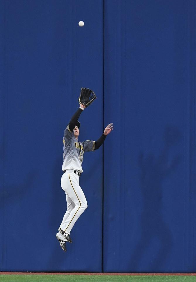 　８回、楠本の打球を好捕する近本（撮影・金田祐二）