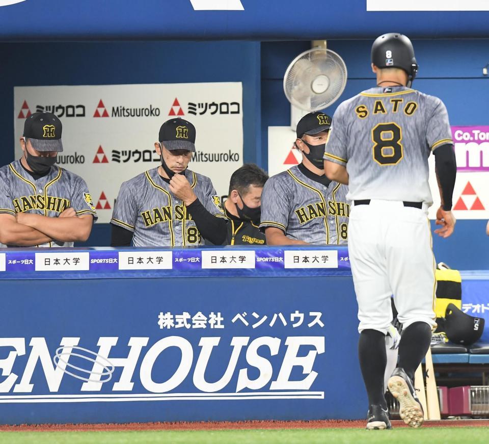 　６回、けん制でアウトになった佐藤輝に厳しい表情の矢野監督（撮影・金田祐二）