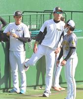 　西純矢（左）にキックを見舞う藤浪（撮影・高部洋祐）