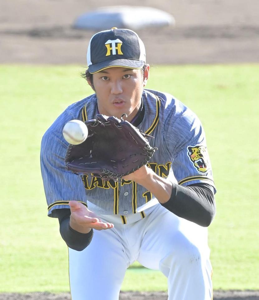 　ノックの打球をつかむ藤浪（撮影・高部洋祐）