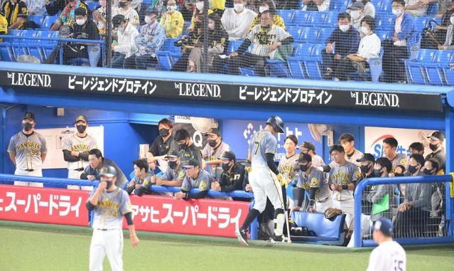 【写真】阪神悪夢　必死の激走も本塁でタッチアウトになる大山