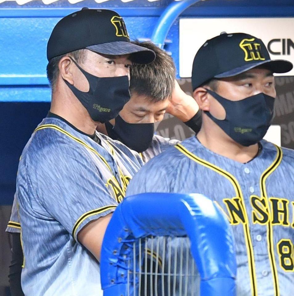 ９回、ベンチで頭をかく矢野監督（中央）＝撮影・西岡正